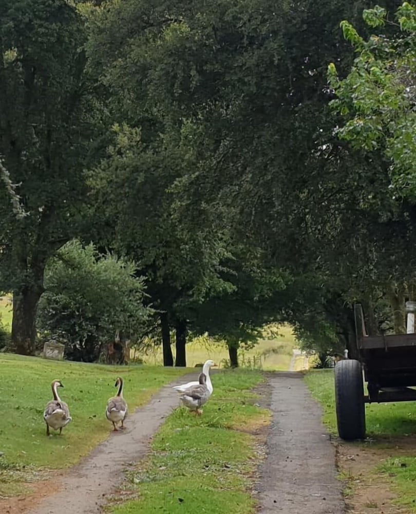 Фото Oban Historical Guest Farm