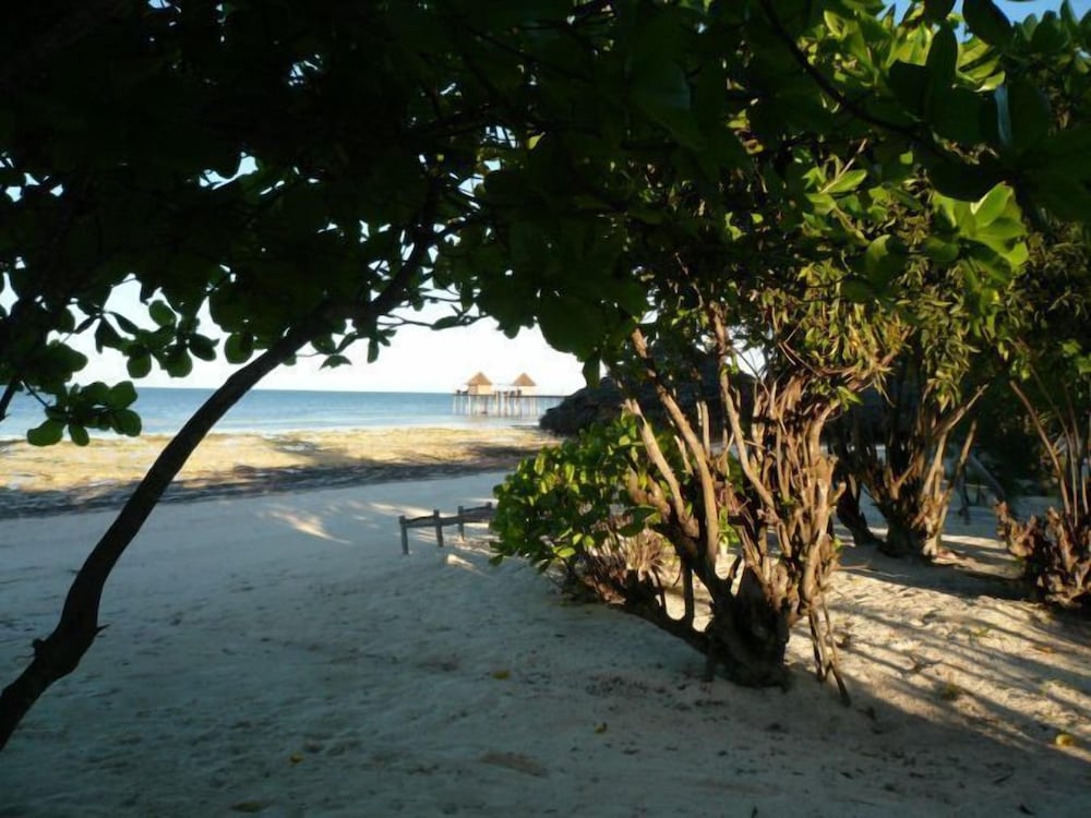 Фото Pakachi Beach Resort & Hotel