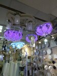 Магазин светотехники (ulitsa Ostrovskogo, 16), light engineering