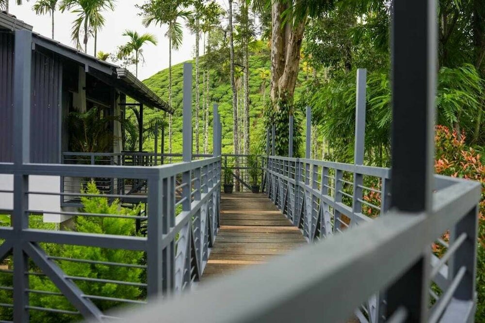 Фото B'camp Resorts & Homestays