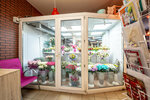 Sanata flowers (Pionerskaya Street, 30к7), flower shop