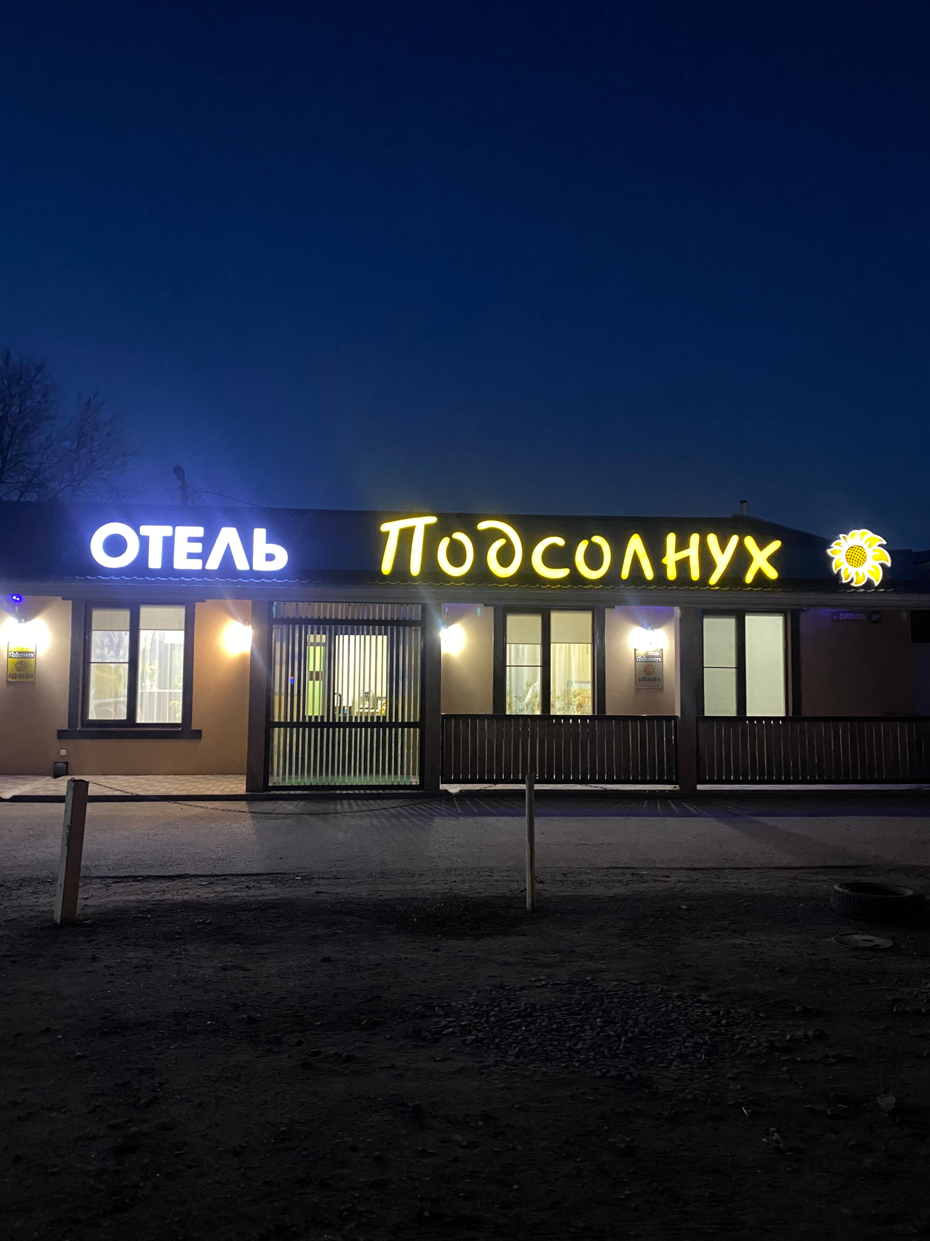 Фото Подсолнух