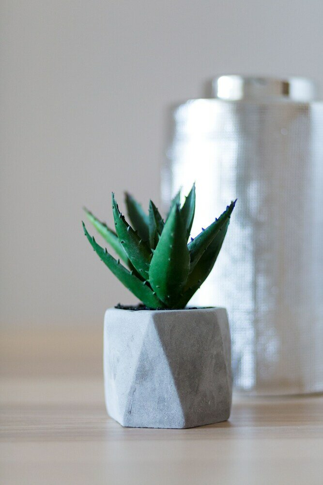 Фото Upstreet Urban Chic 1bd Apartment- Hilton area