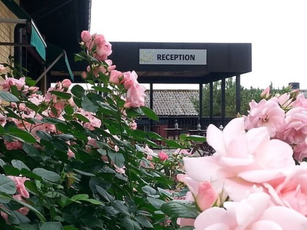 Фото Yxnerum Hotell