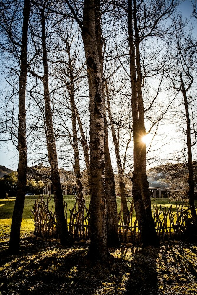 Фото Wildehondekloof