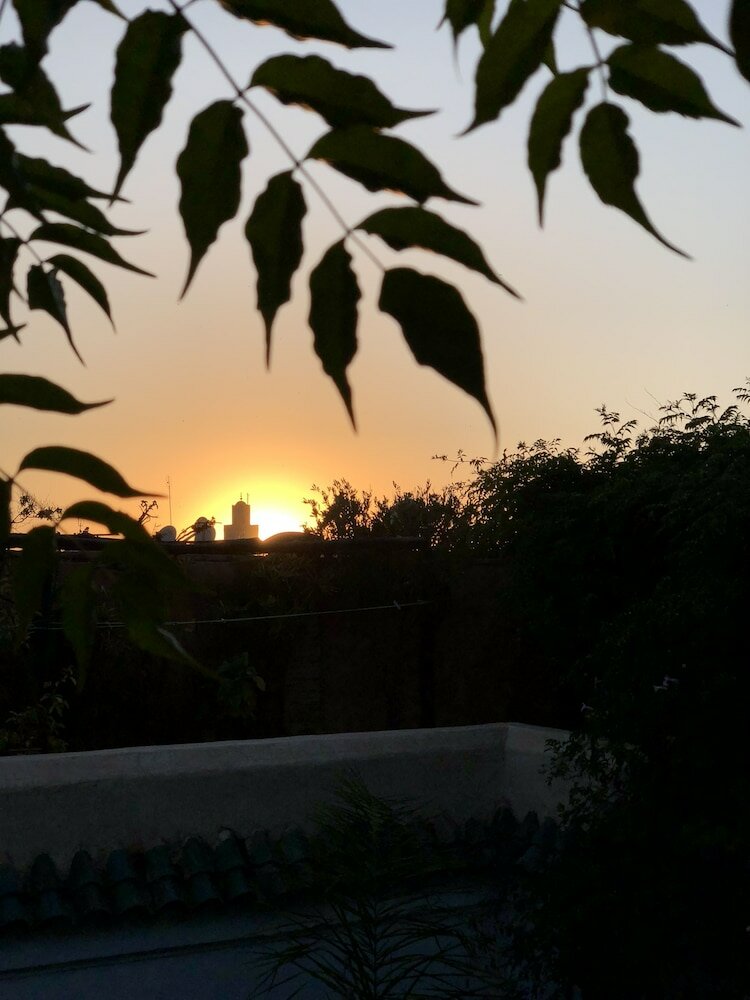 Фото Riad Tibibt