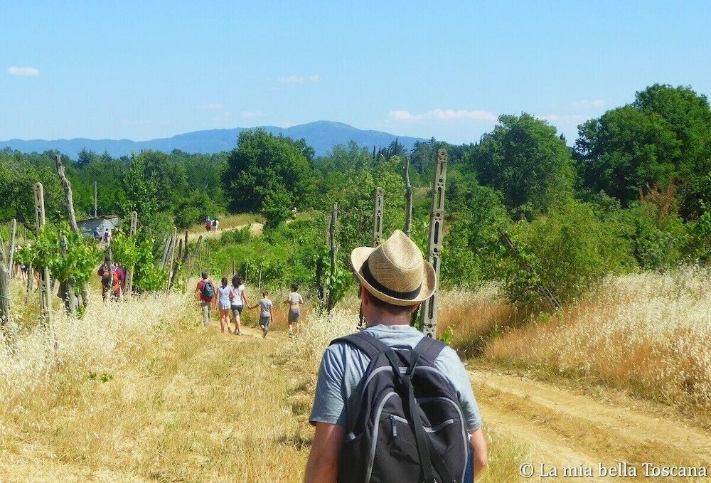 Фото Cappannelle Country House Tuscany