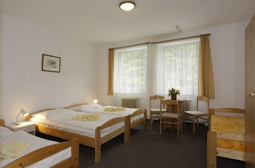 Гостиница Hotel Grádl