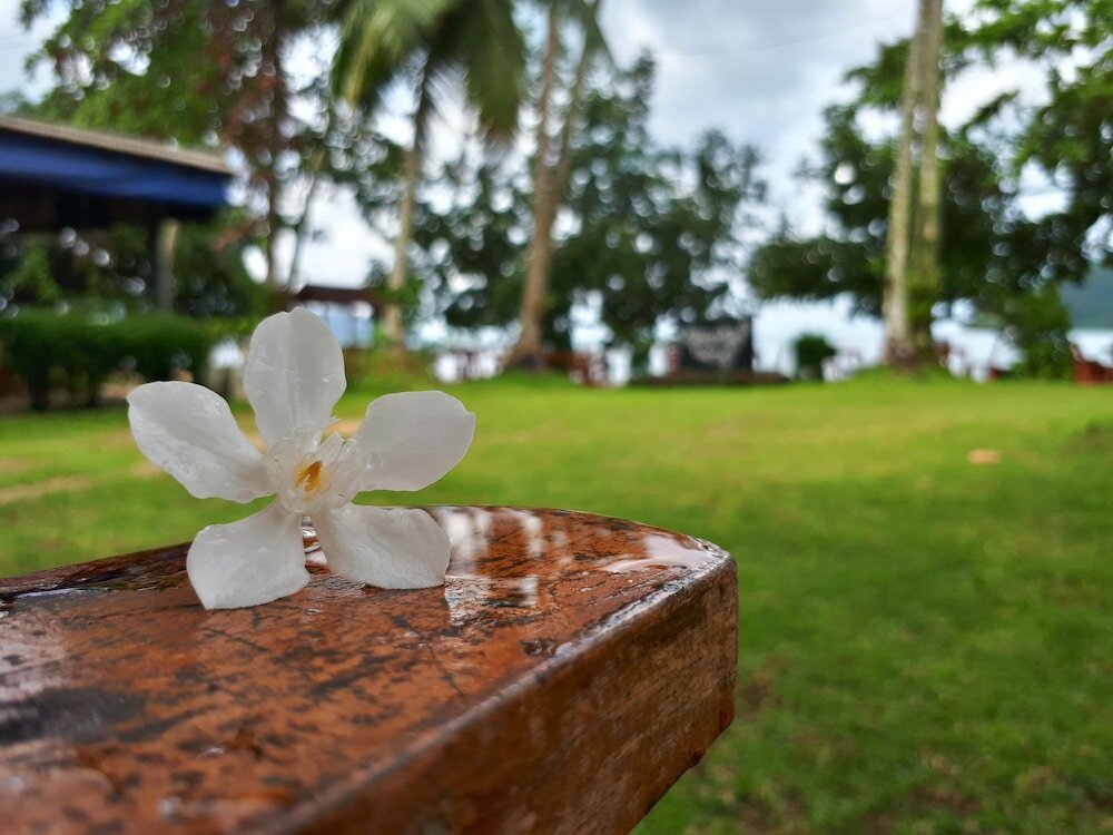 Фото Klong Kloi Cottage