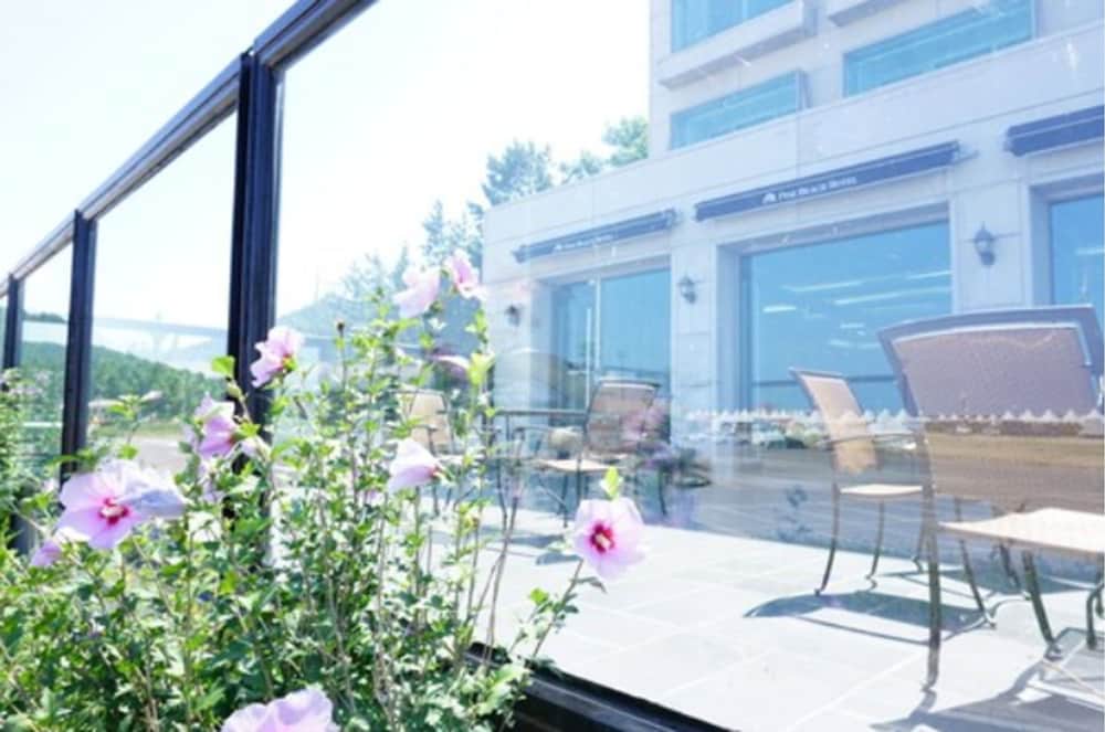 Фото Pinebeach Hotel Pohang