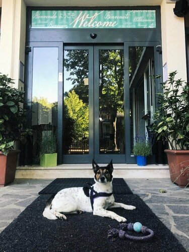 Гостиница Hotel Stella del Mare в Червии