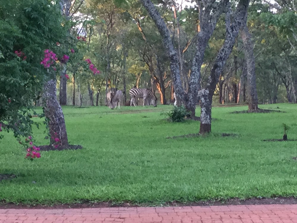 Фото Manna Resorts