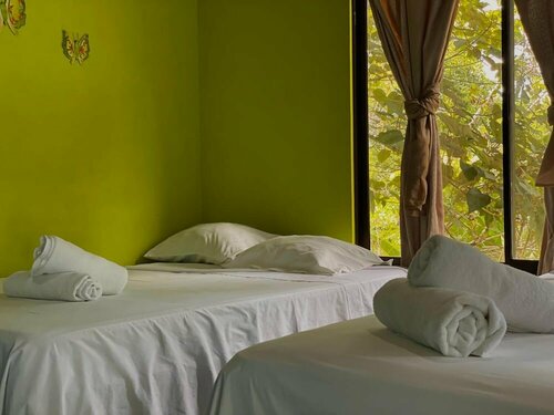 Гостиница Los Amigos Jungle Hotel Tortuguero