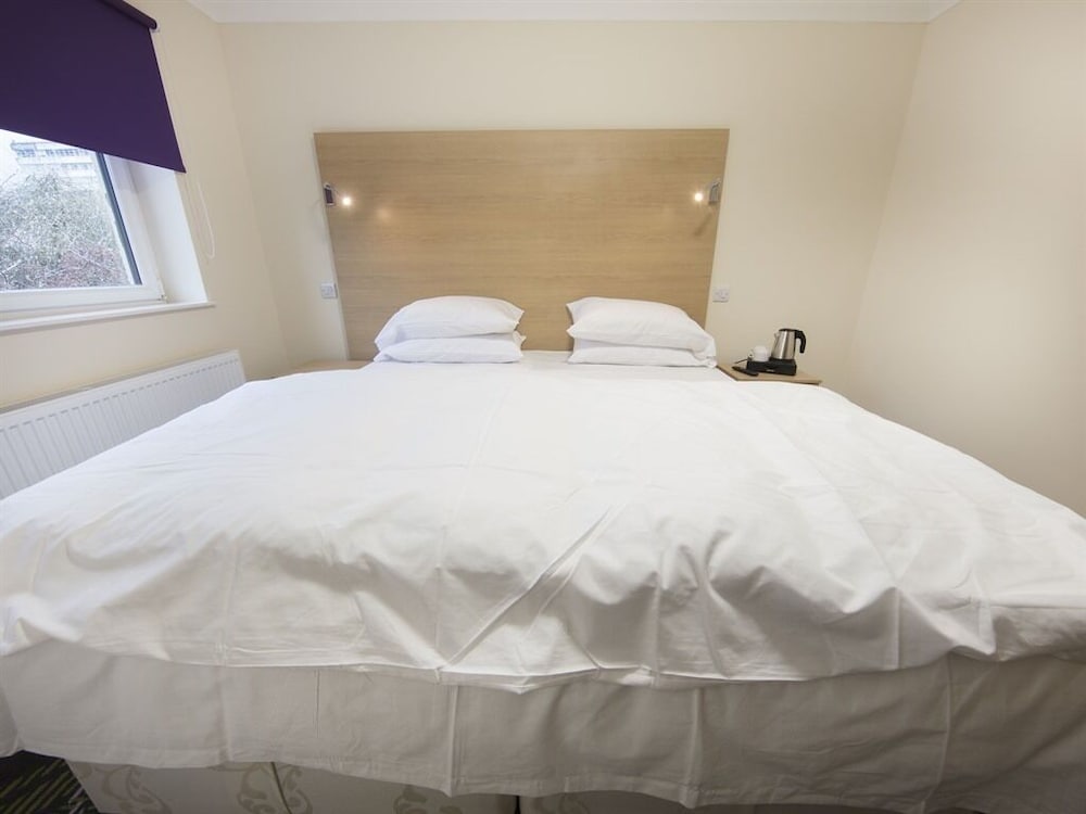 Фото The Bay Horse