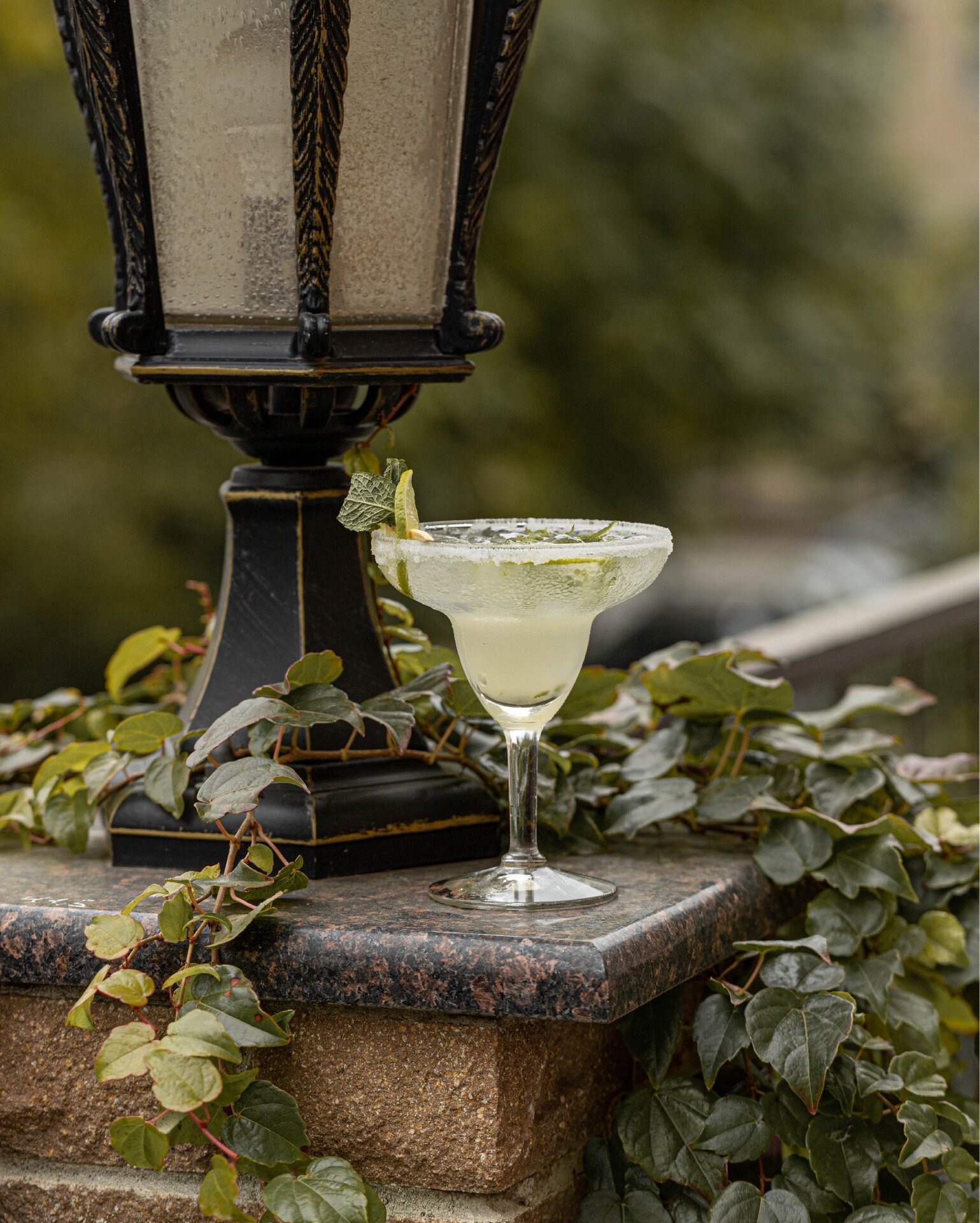 Фото Customs House