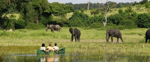 Гостиница Chobe River Camp
