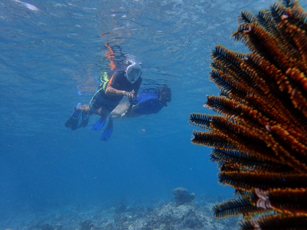 Фото SeaLaVie Inn