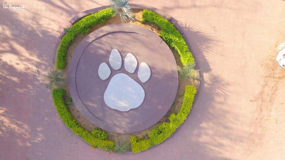 Фото Treehouse The Pugmark