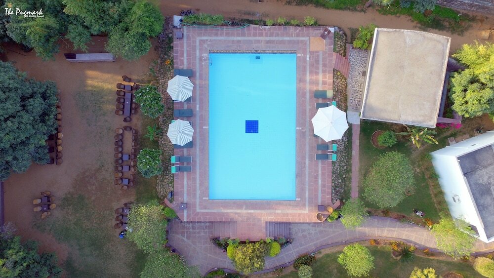 Фото Treehouse The Pugmark