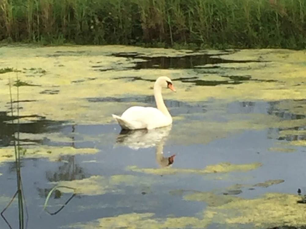 Фото Ashbrook House B&b