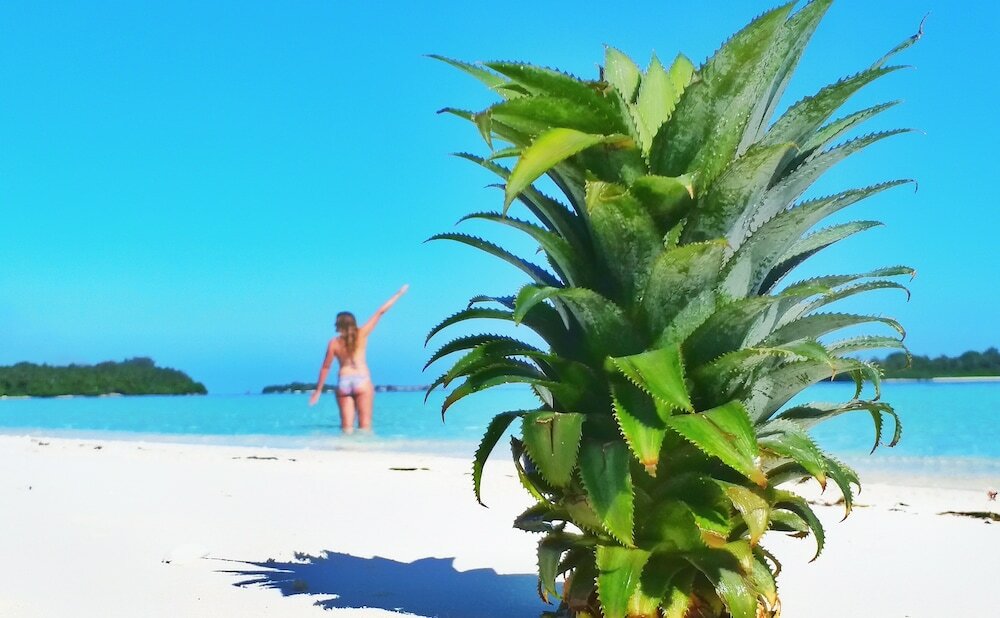 Фото Medhufaru Inn