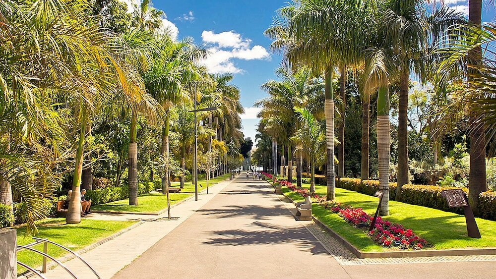 Фото Hotel Adonis Plaza