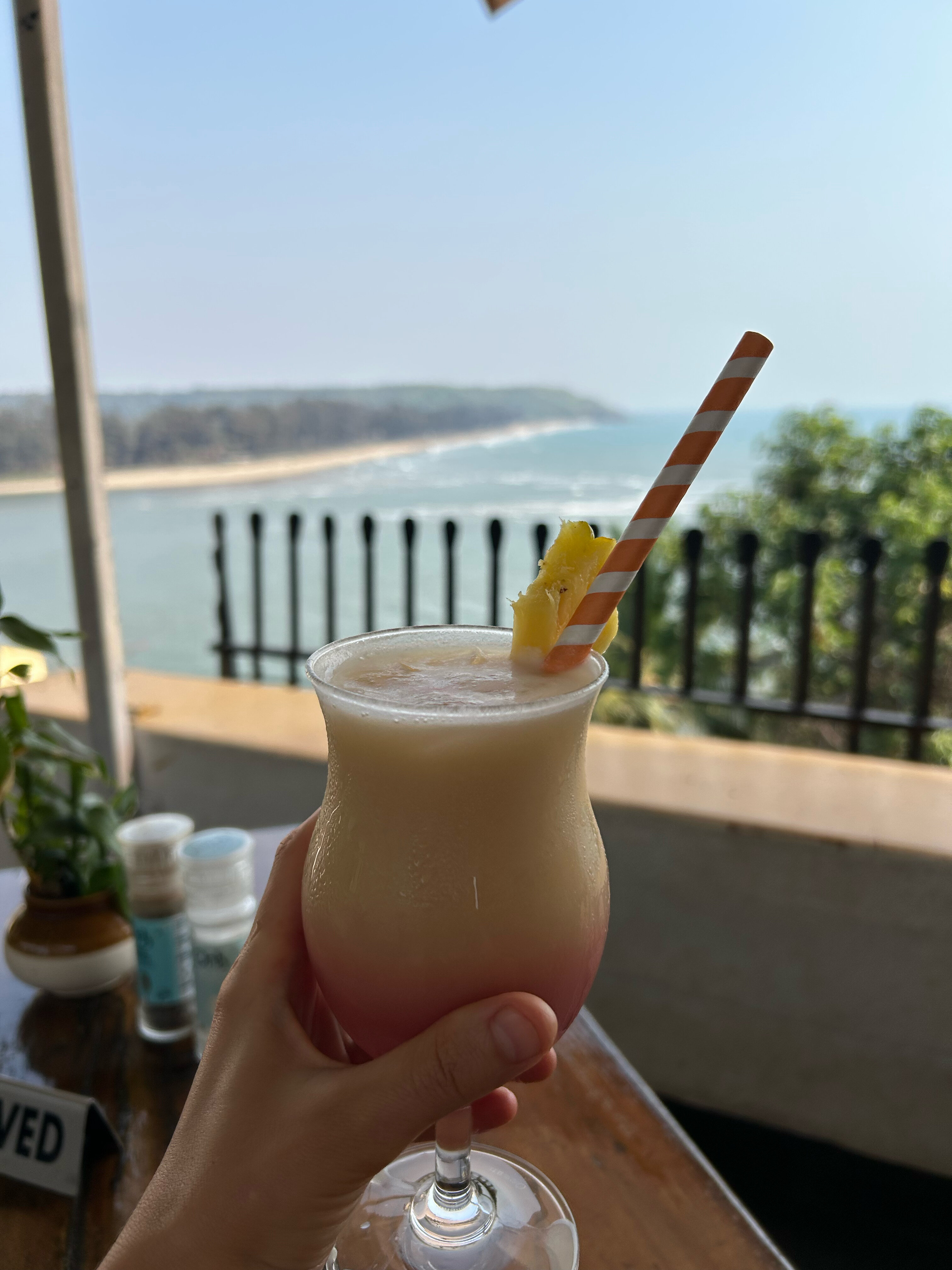 Фото Fort Tiracol Heritage Hotel