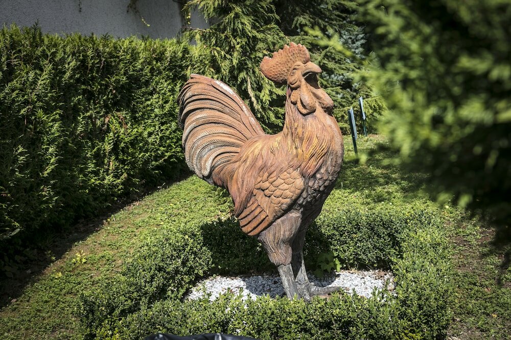 Фото Cottage Hotel