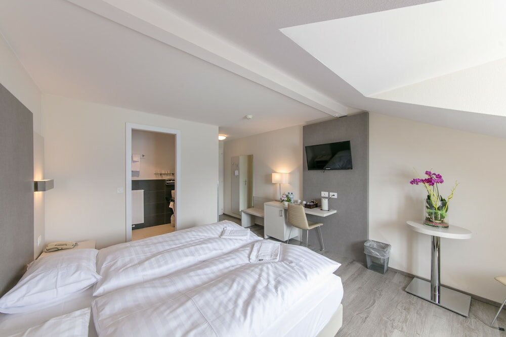 Фото Hotel Préalpina