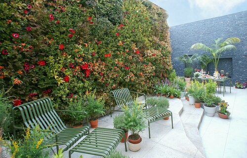 Внешний вид отеля Maison Glad Jeju в Чеджу, фото 5