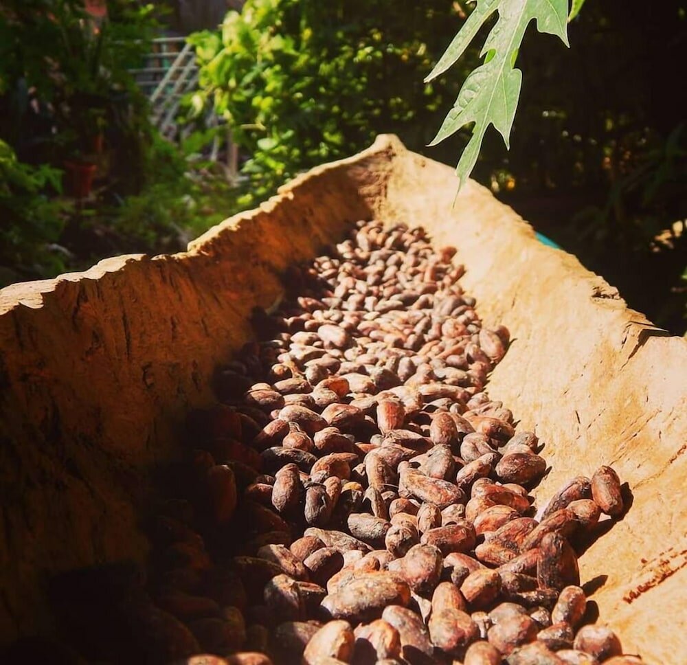 Фото Beta Life Eco Proyecto Hostel