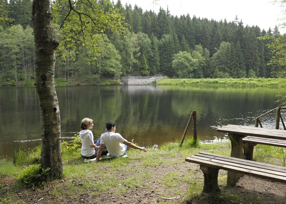 Фото Hotel Forstmeister