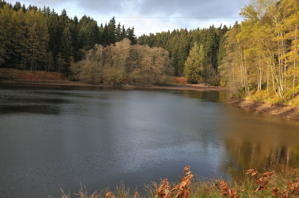 Фото Hotel Forstmeister