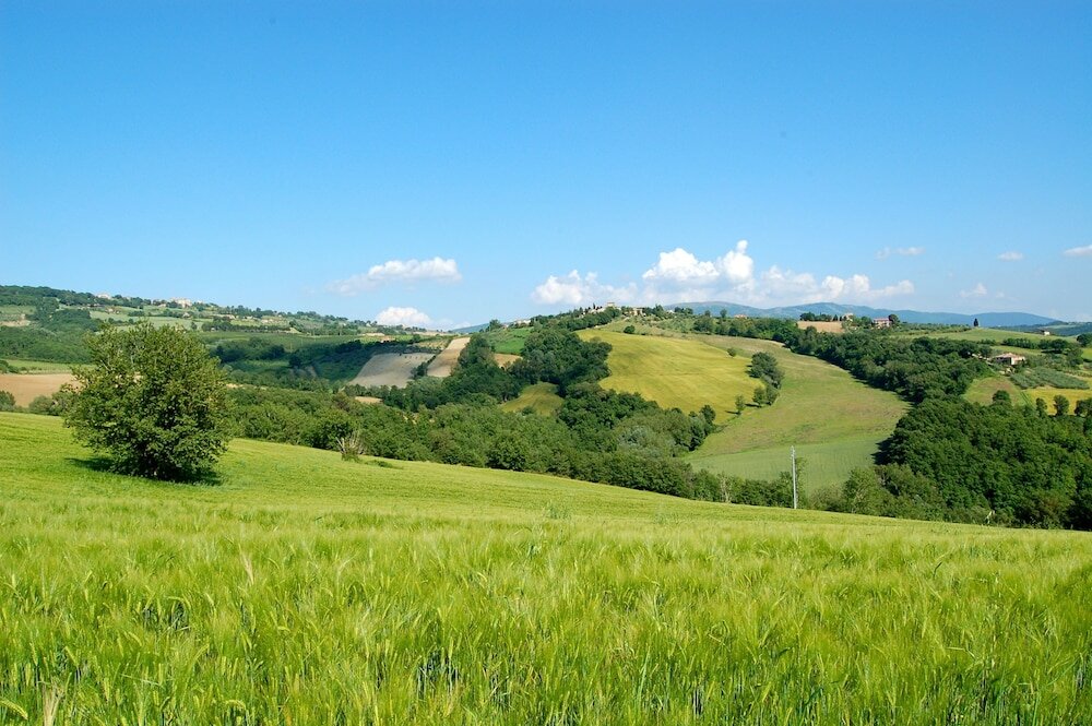 Фото Agriturismo Casale dei Frontini
