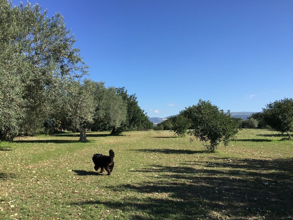 Фото Dimora di Dante