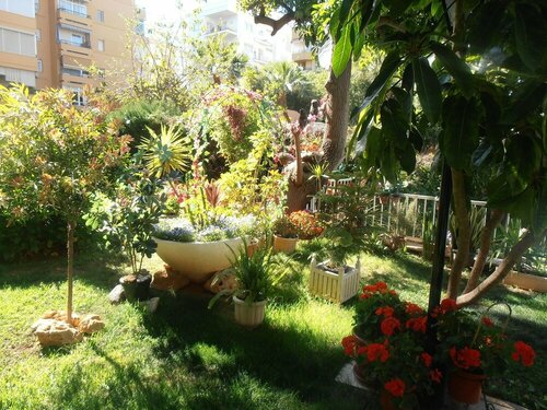 Гостиница Apartamento Euromar 2 Playa Fontanilla в Марбелье
