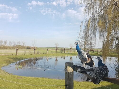 Гостиница Aan de Waterspiegel