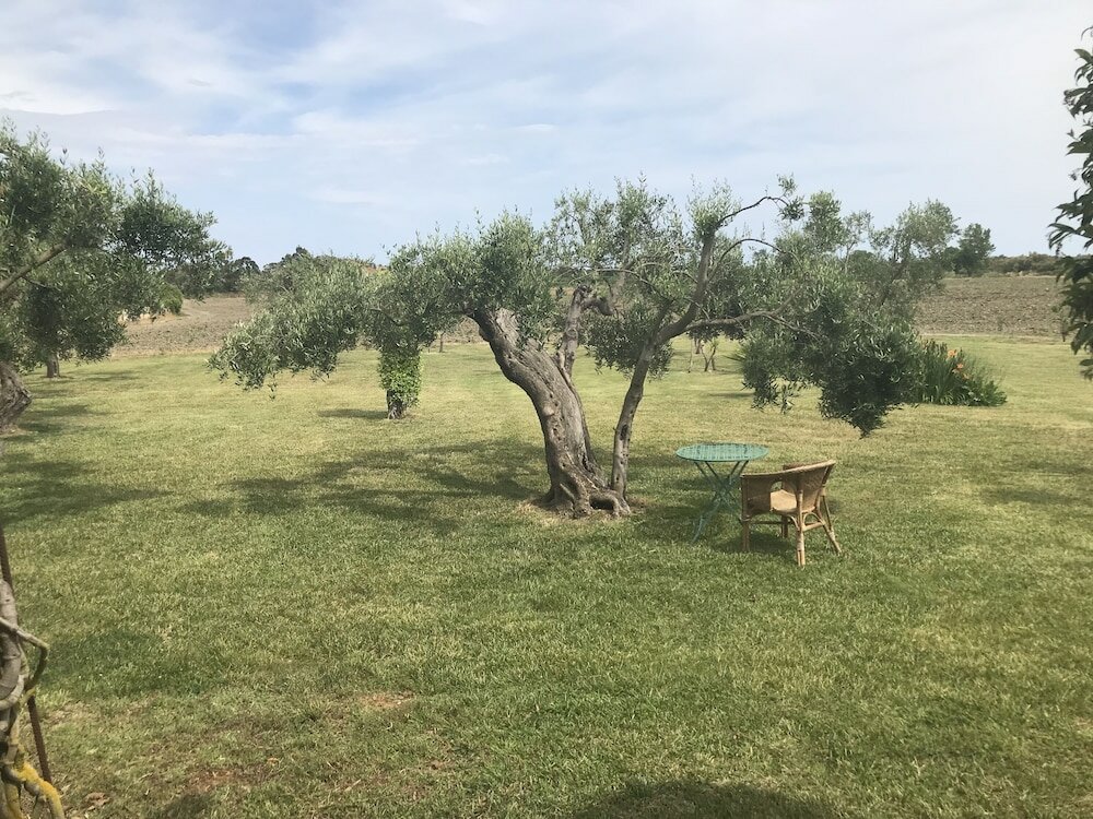 Фото Masseria Scannaturco