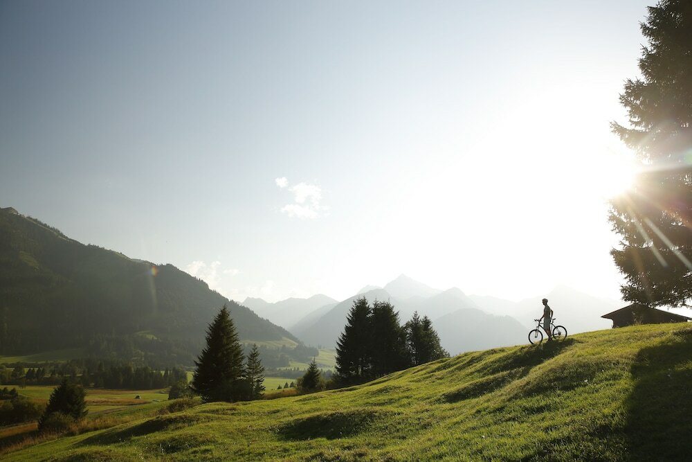 Фото Hotel Bergblick