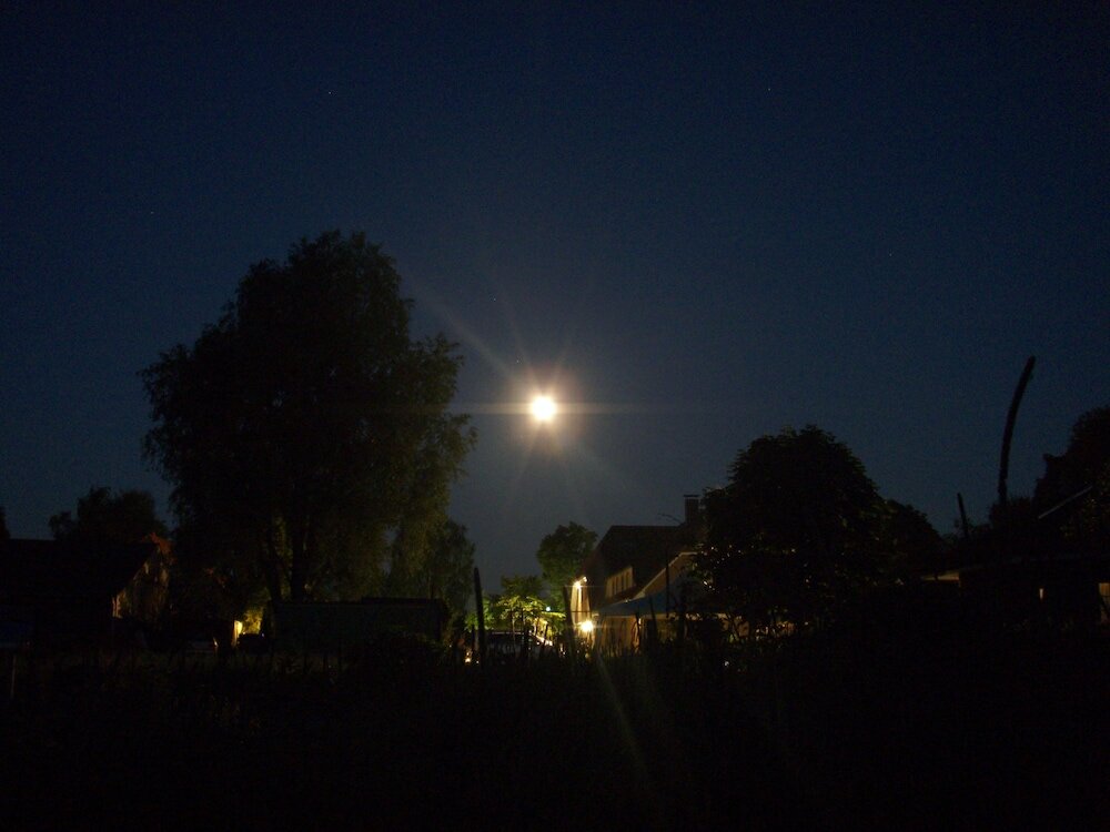 Фото Hotel Landgasthaus Am Steendamm