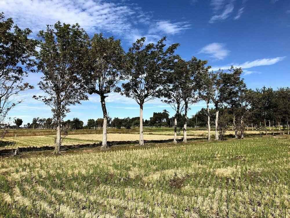 Фото Iwamuro Slow Hostel