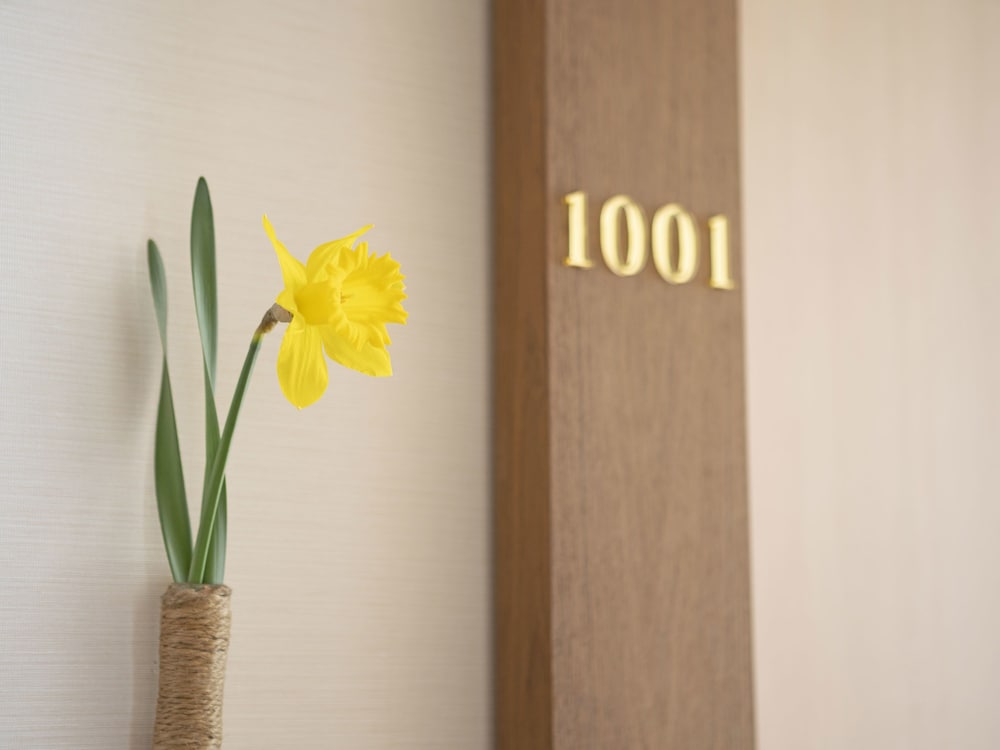 Фото Tenjiku Onsennosato