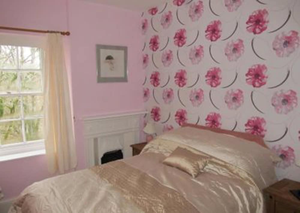 Фото The Forest Inn