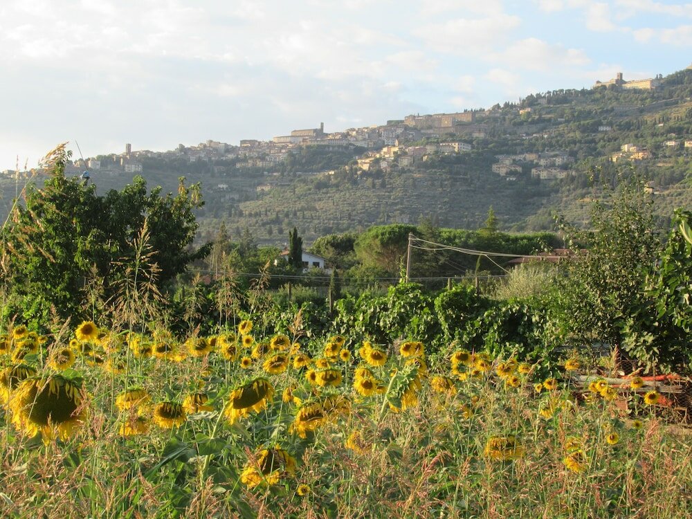 Фото Country House Podere Casorbica