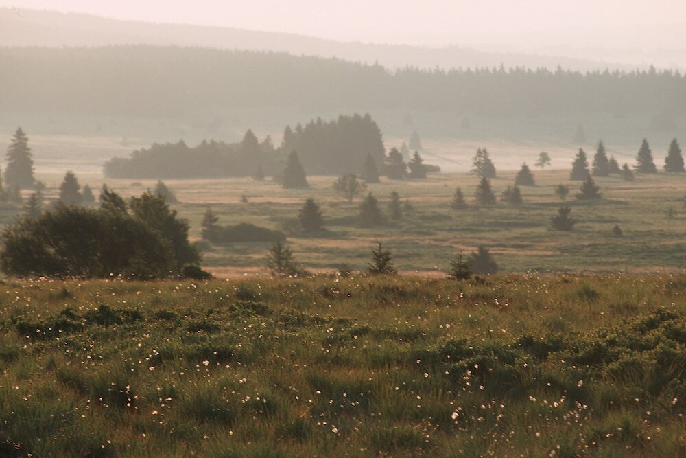 Фото Hotel Restaurant Tychon