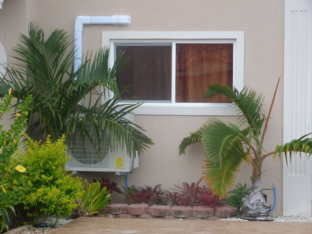 Фото Taste of Paradise