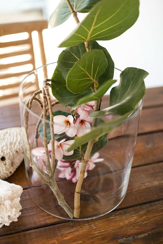 Фото Pauline's Apartments Aruba