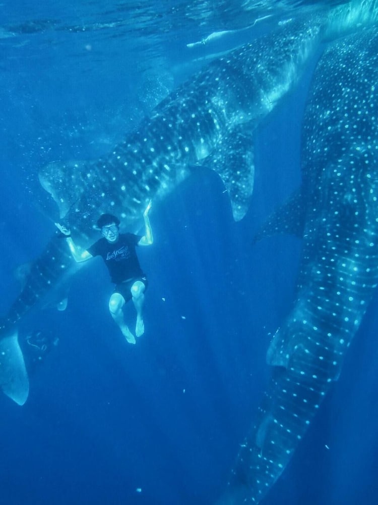 Фото Maqna Hotel