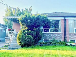 Гостиница Sunrise Tree Guest House