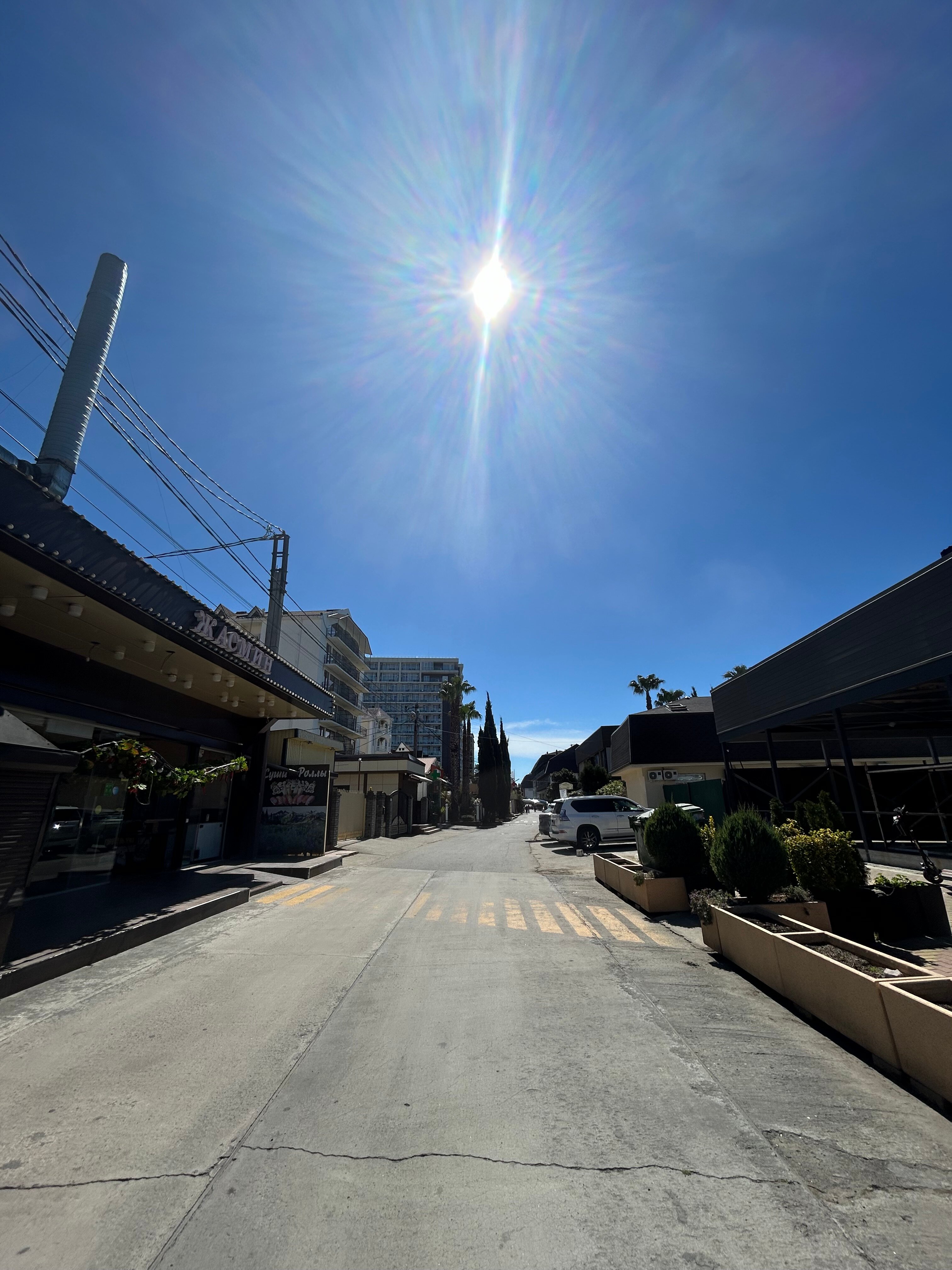 Фото Жасмин